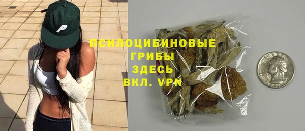твердый Арсеньев