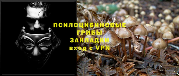 трава Армянск