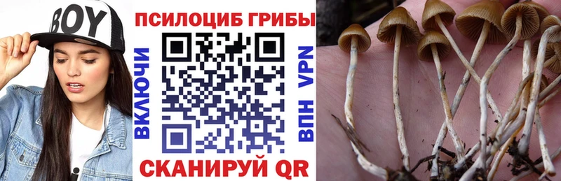 Галлюциногенные грибы мицелий  Макушино 